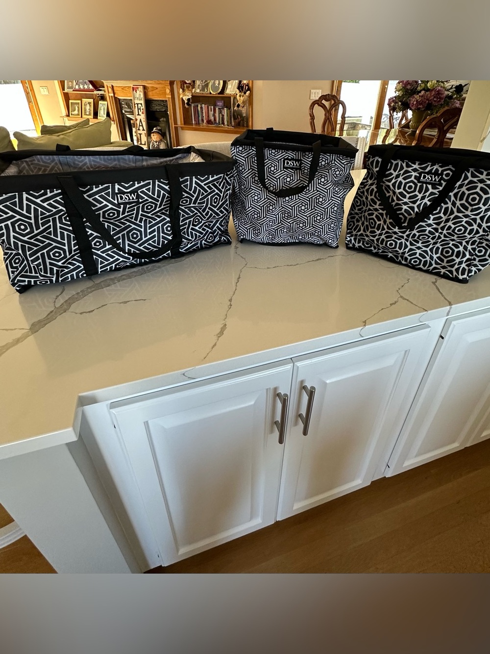 DSW Black & White Insulated Collapsable XL Geometric Tote Bag Set